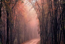 M88：传闻C罗收购瓦伦西亚？世体：球队老板3月份表示不会出售.