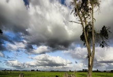 M88：[德甲]第6轮：柏林联2-1多特蒙德 集锦.