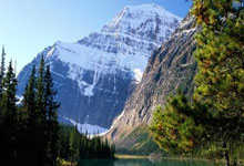 青岛男篮发布季后赛倡议书:尊重球员&教练&裁判 遵循公序良俗.