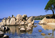 M88:掉链子?马竞欧冠、国王杯分别被皇萨淘汰,西甲争冠希望渺茫.